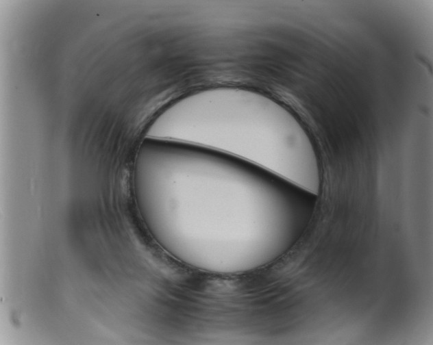 X0000099530071200805160735