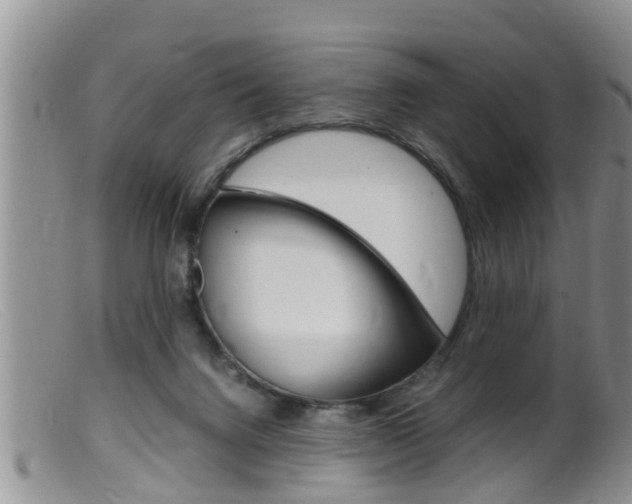 X0000099530072200805160735