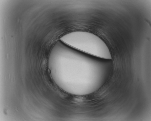 X0000099530079200805160735