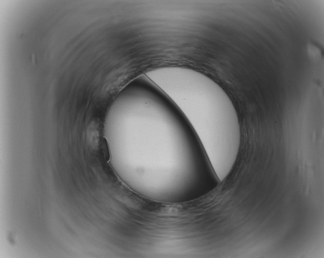 X0000099530080200805160735