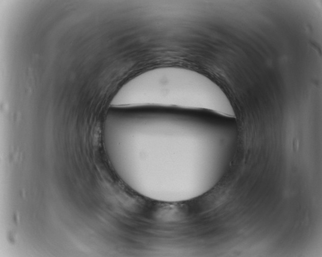 X0000099530083200805160735