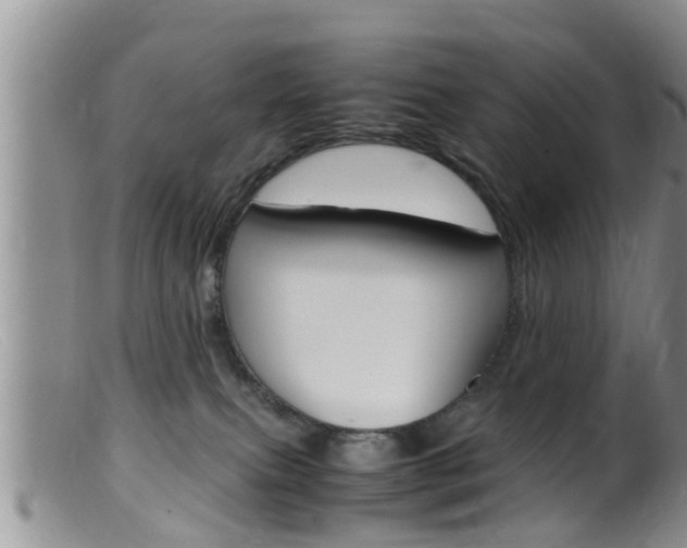 X0000099530087200805160735
