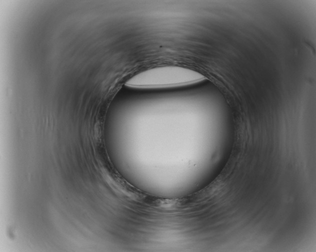 X0000099530088200805160735
