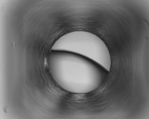 X0000099530089200805160735