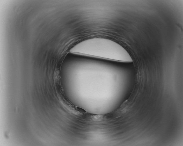 X0000099530092200805160735