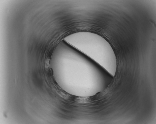 X0000099530093200805160735