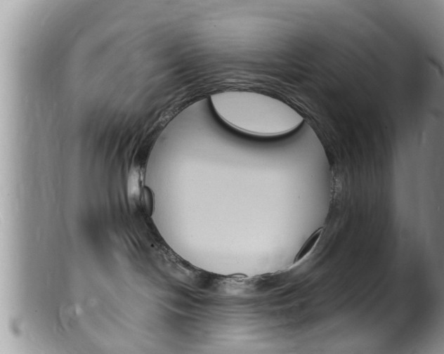 X0000099530094200805160735