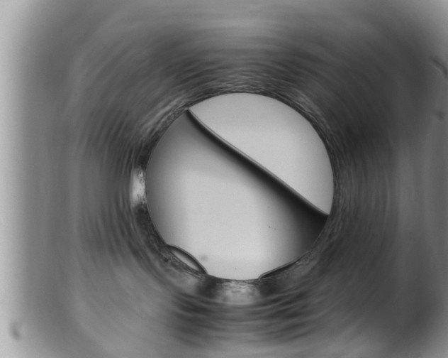 X0000099530095200805160735