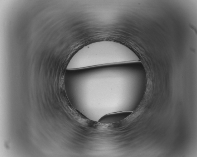 X0000099530096200805160735