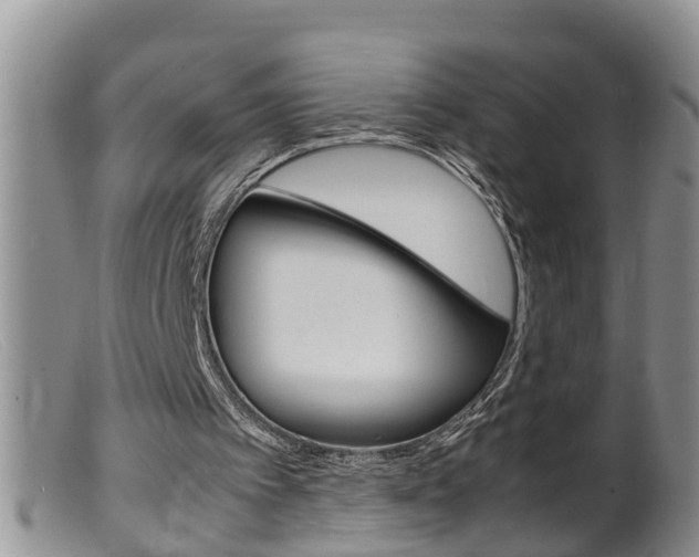X0000099530097200805160735