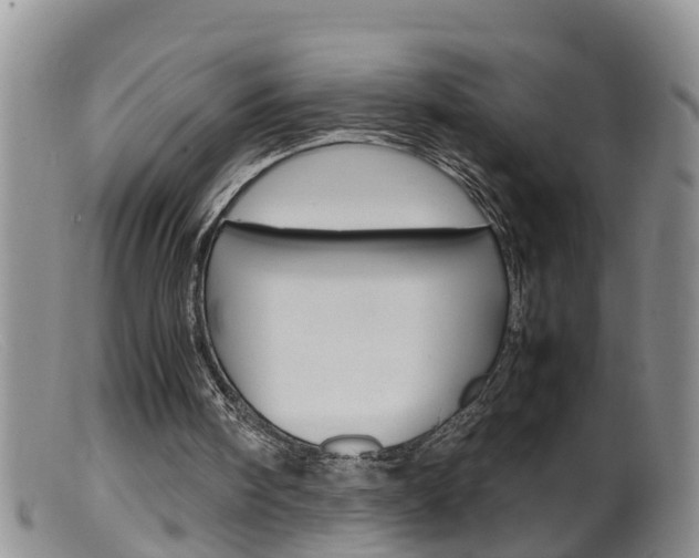 X0000099530098200805160735