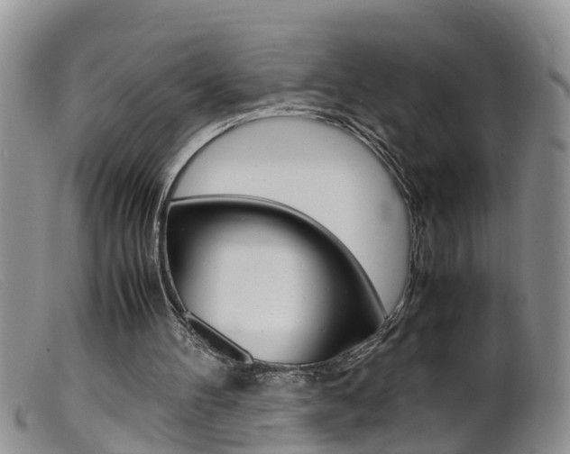 X0000099530100200805160735