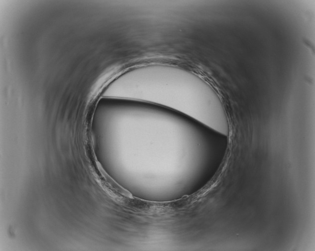 X0000099530101200805160735