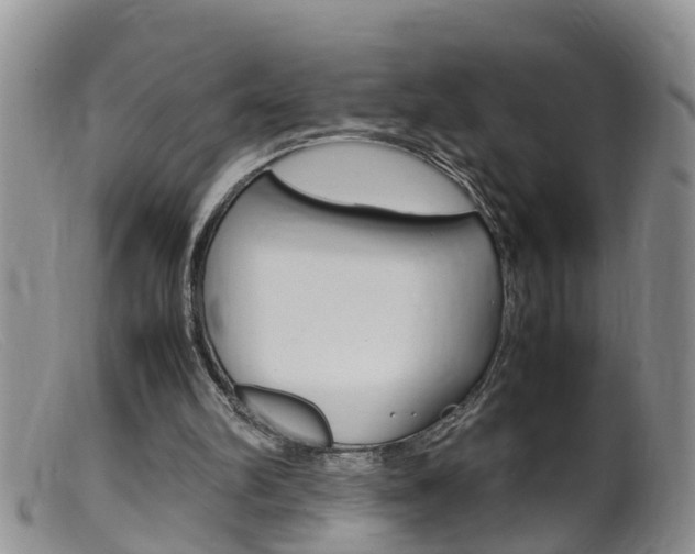 X0000099530102200805160735