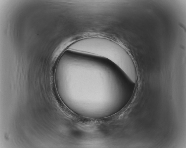 X0000099530103200805160734