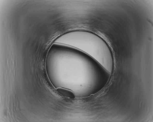 X0000099530105200805160734