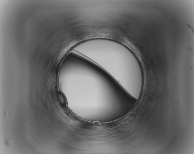 X0000099530107200805160734