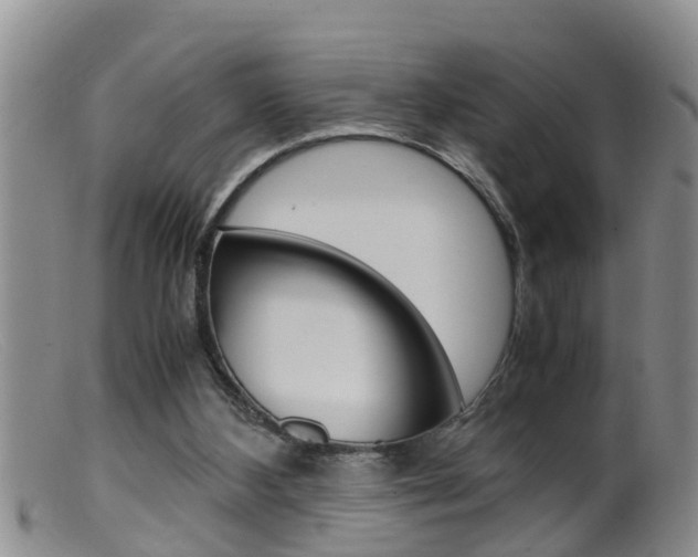 X0000099530108200805160734