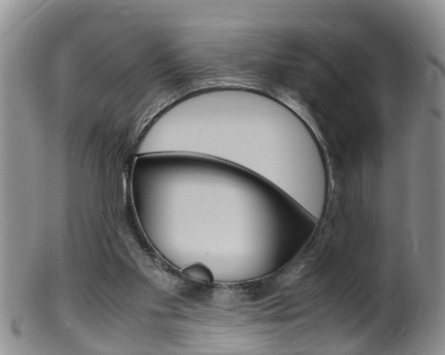 X0000099530109200805160734