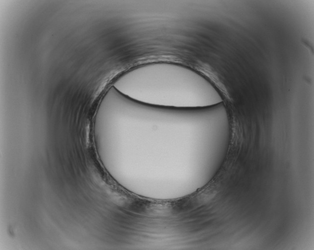 X0000099530110200805160734