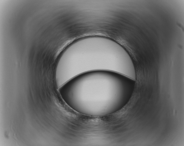 X0000099530112200805160734
