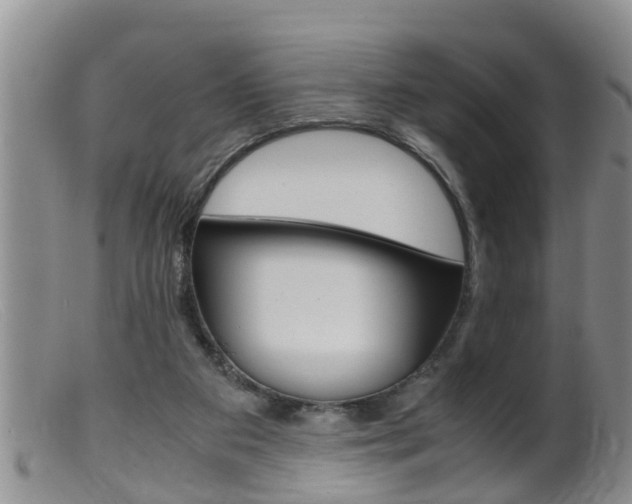 X0000099530113200805160734
