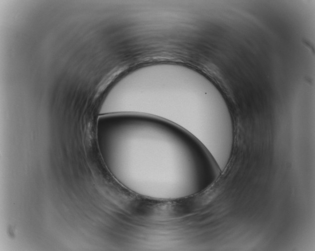 X0000099530116200805160734