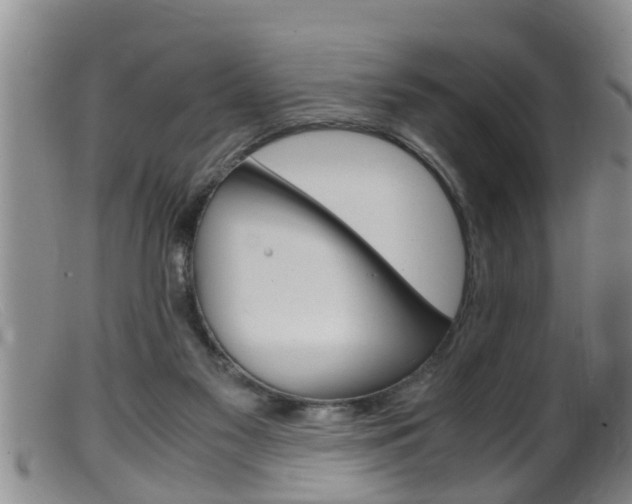 X0000099530117200805160734