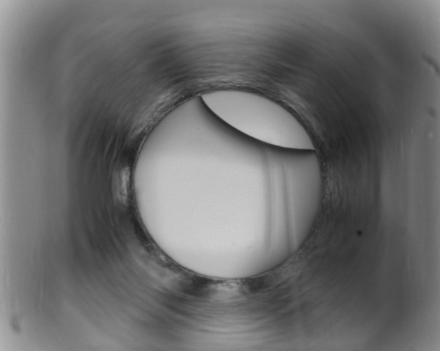 X0000099530118200805160734