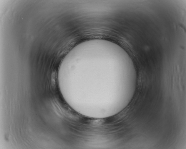 X0000099530122200805160734