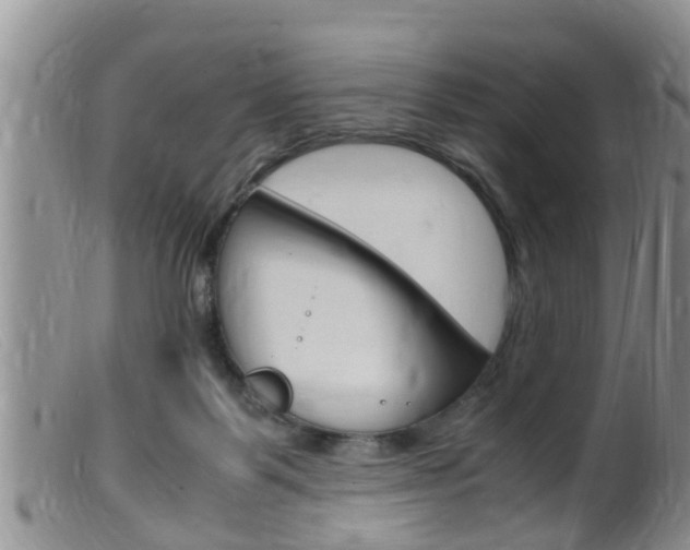 X0000099530123200805160734