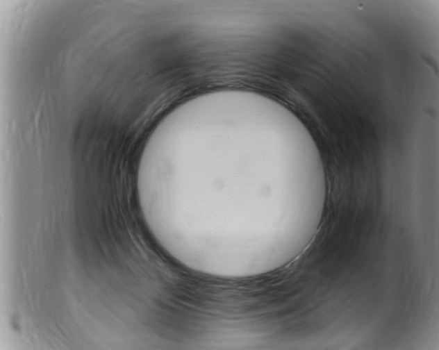 X0000099530124200805160734