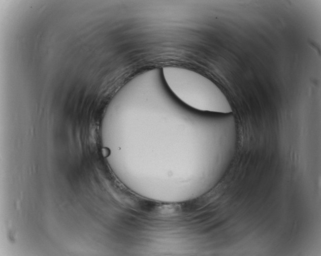 X0000099530126200805160734