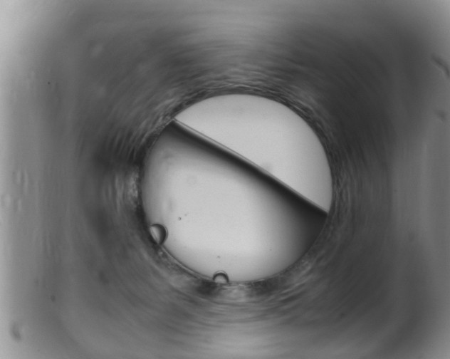 X0000099530127200805160734