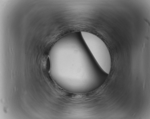 X0000099530129200805160734