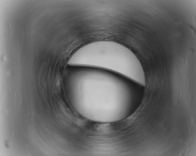 X0000099530132200805160734