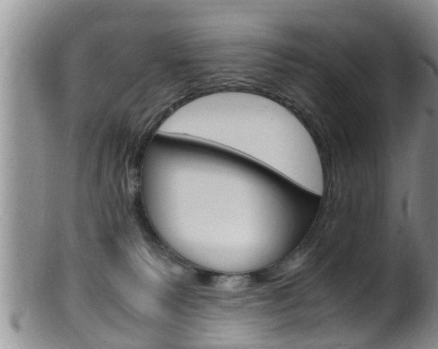 X0000099530135200805160734