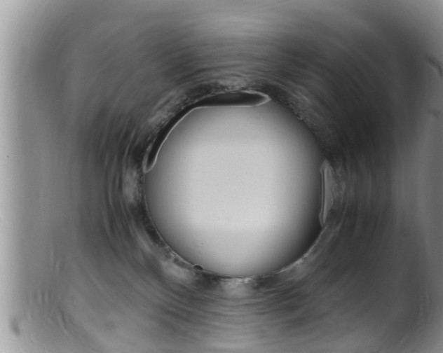 X0000099530136200805160734