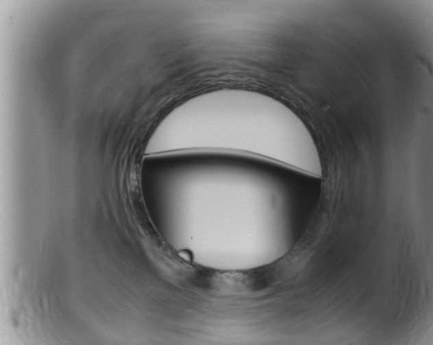 X0000099530137200805160734