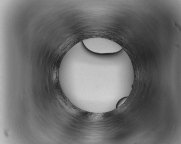 X0000099530138200805160734