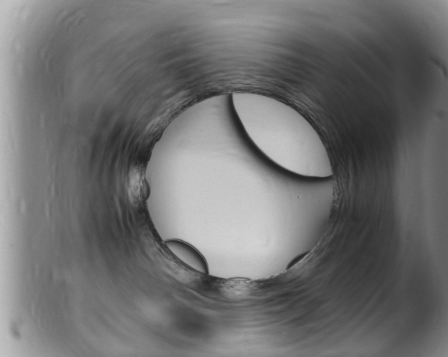 X0000099530142200805160734
