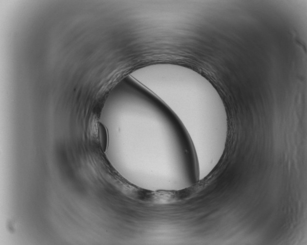X0000099530143200805160734