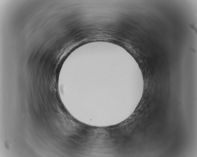 X0000099530146200805160733