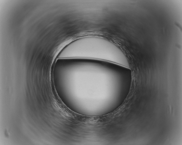 X0000099530148200805160733