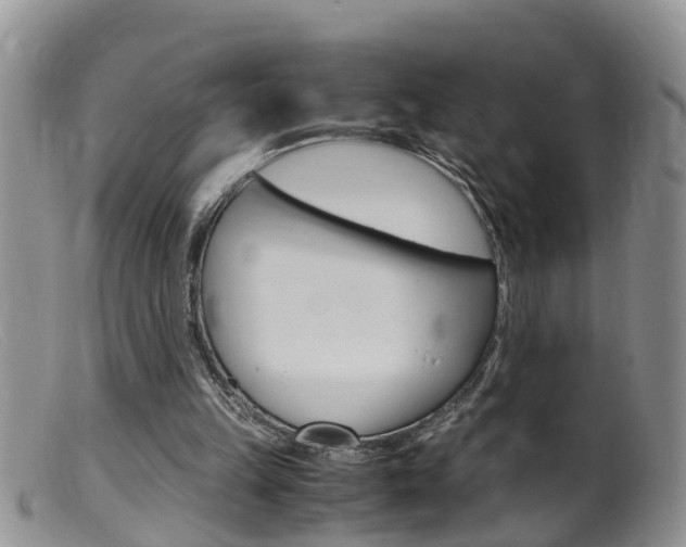 X0000099530149200805160733
