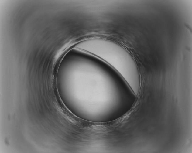X0000099530150200805160733
