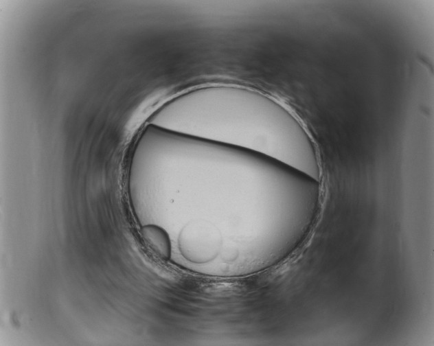 X0000099530151200805160733