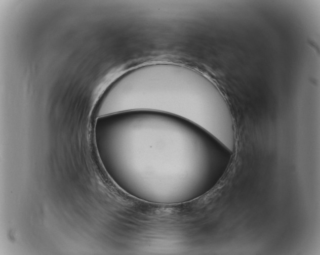 X0000099530152200805160733