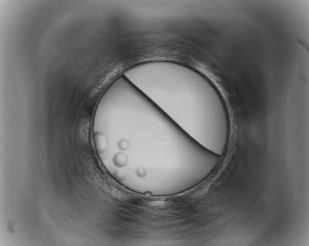 X0000099530153200805160733