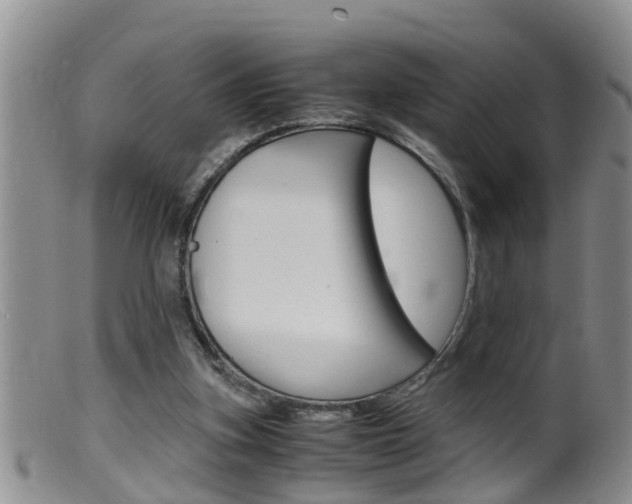 X0000099530155200805160733